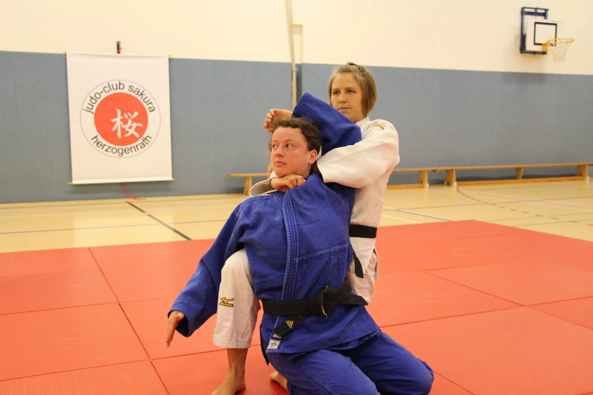 Kata-ha-jime