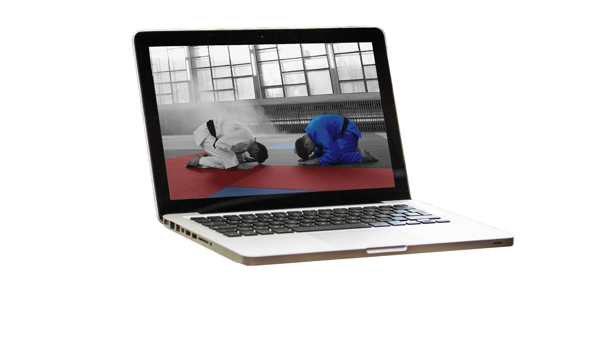 LAPTOP color-1