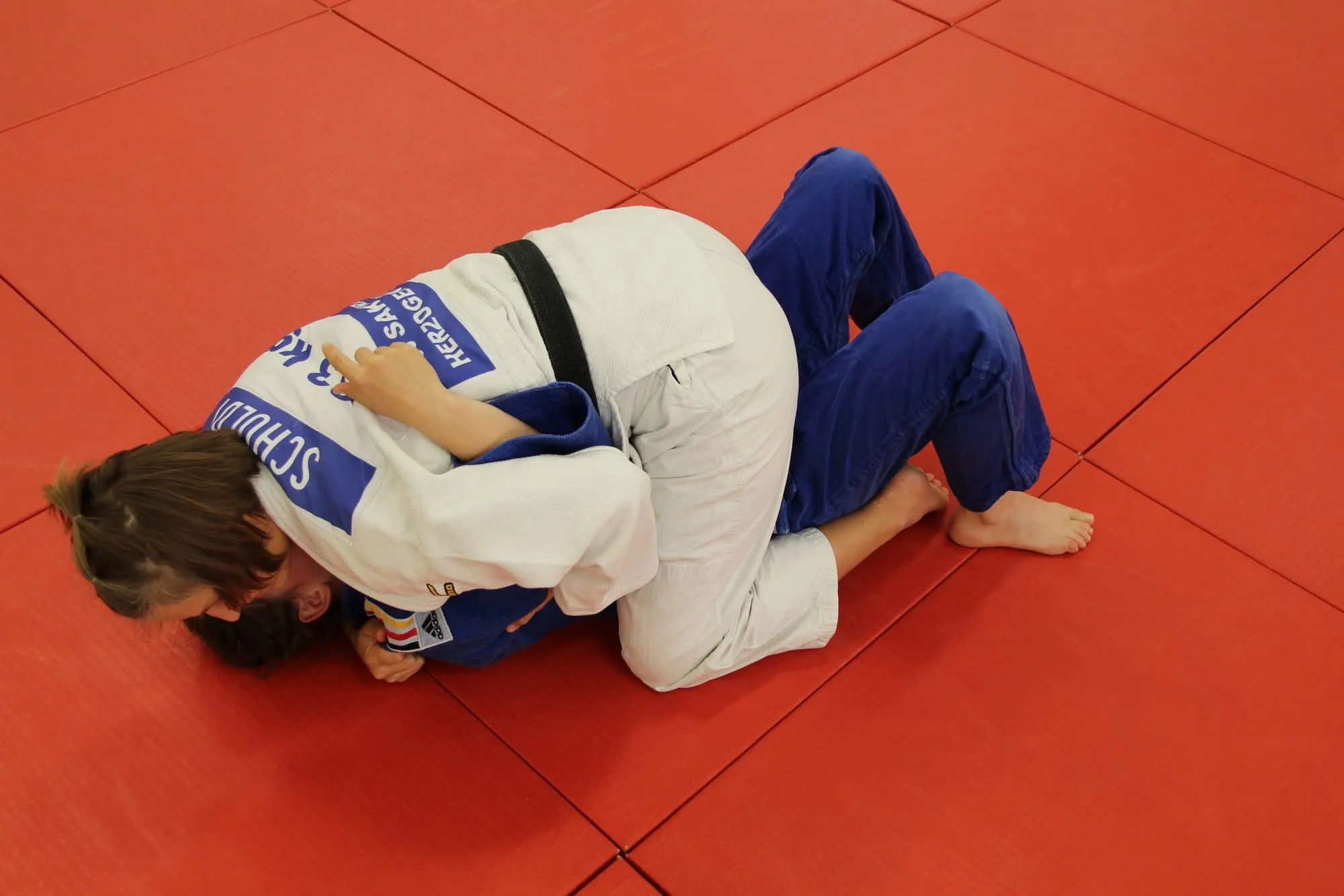 Tate-shio-gatame
